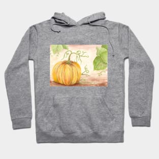 Pumpkin Hoodie